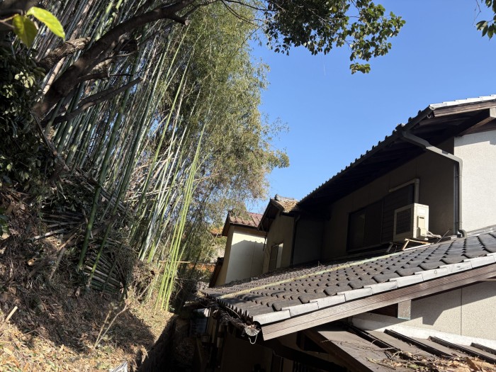 近江八幡市で屋根に掛かる竹と高木の伐採｜特殊伐採で家屋の腐食を防ぐ施工事例 - After