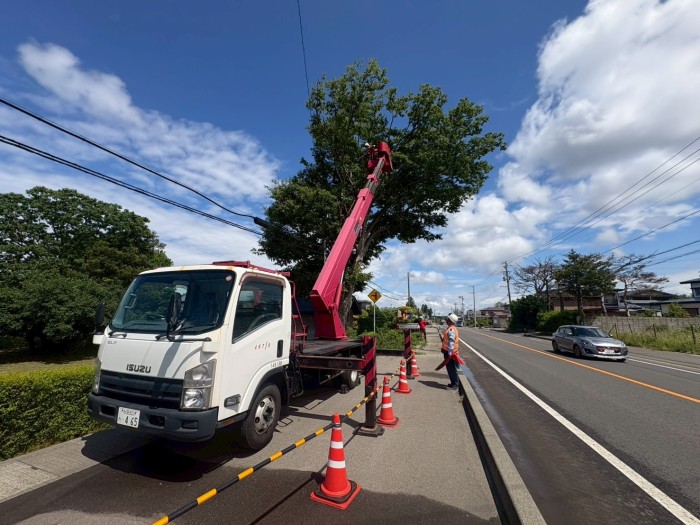 大津市で特殊伐採｜歩道・車道にはみ出した高さ約10mの大木を高所作業車で伐採 - Before