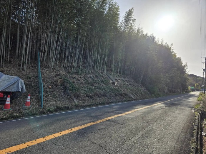 大津市の特殊伐採｜道路沿いに生い茂った竹林を敷地内から伐採 - After