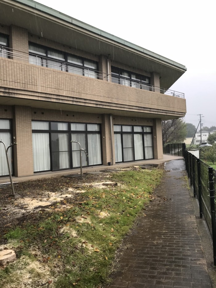 大津市で高さ約8mの庭木2本を伐採｜施設の設備新設に伴う伐採作業｜庭木伐採・除草専門店 滋賀管轄 - After