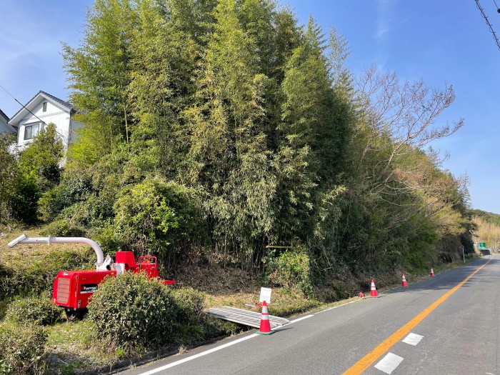 大津市の特殊伐採｜道路沿いに生い茂った竹林を敷地内から伐採 - Before