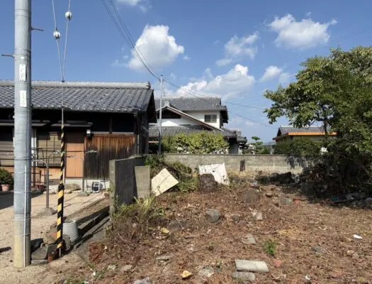 大津市で電線近くの松を伐採｜高所作業車による特殊伐採と除草 - After
